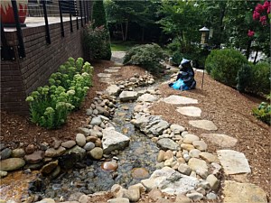 Water Features