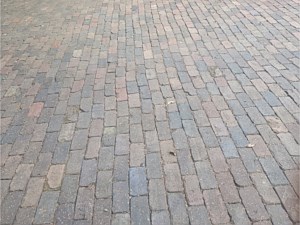 Photo 49