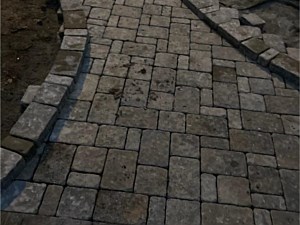 Photo 106